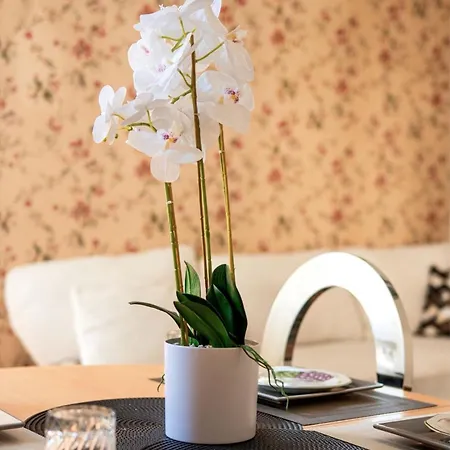 Apartment Le Nid Saumurois 2min Du Centre Parking & Wifi Gratuit