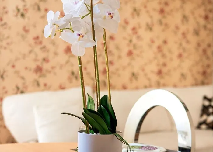 Apartmán Le Nid Saumurois 2min Du Centre Parking & Wifi Gratuit